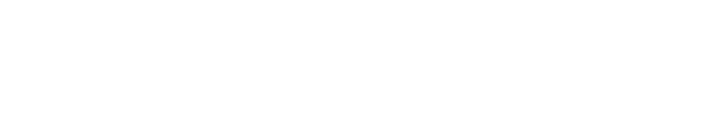 Deel Local Payroll Logo Large White